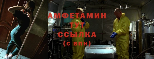 сатива Верхний Тагил